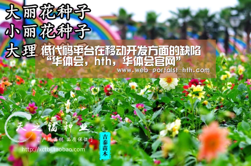 华体会，hth，华体会官网